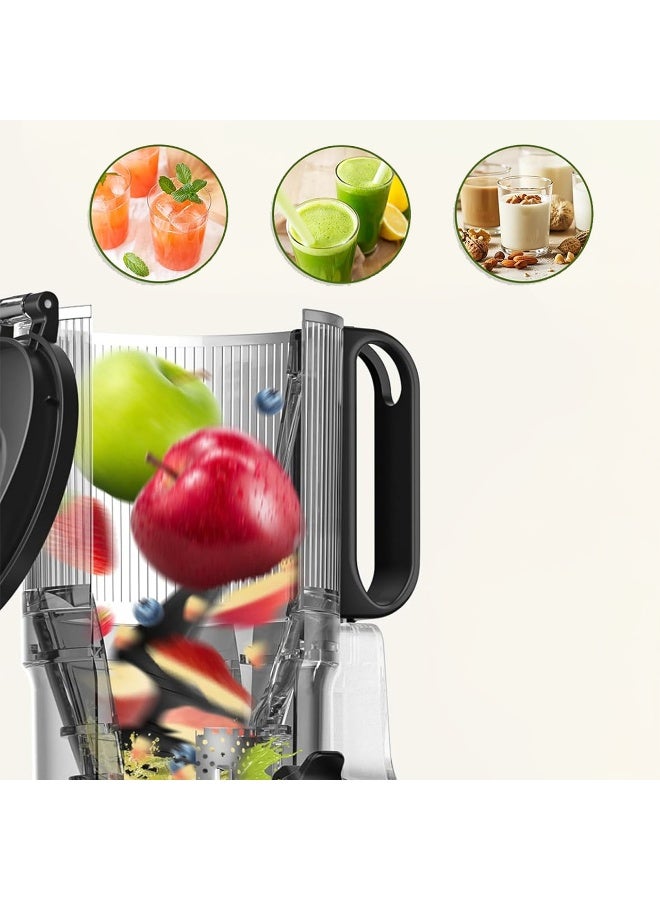 Arshia Slow Juicer - Image 3